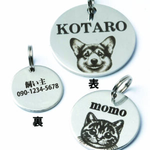 愛犬・愛猫の安全を守る！ペットの迷子札の重要性とその効果